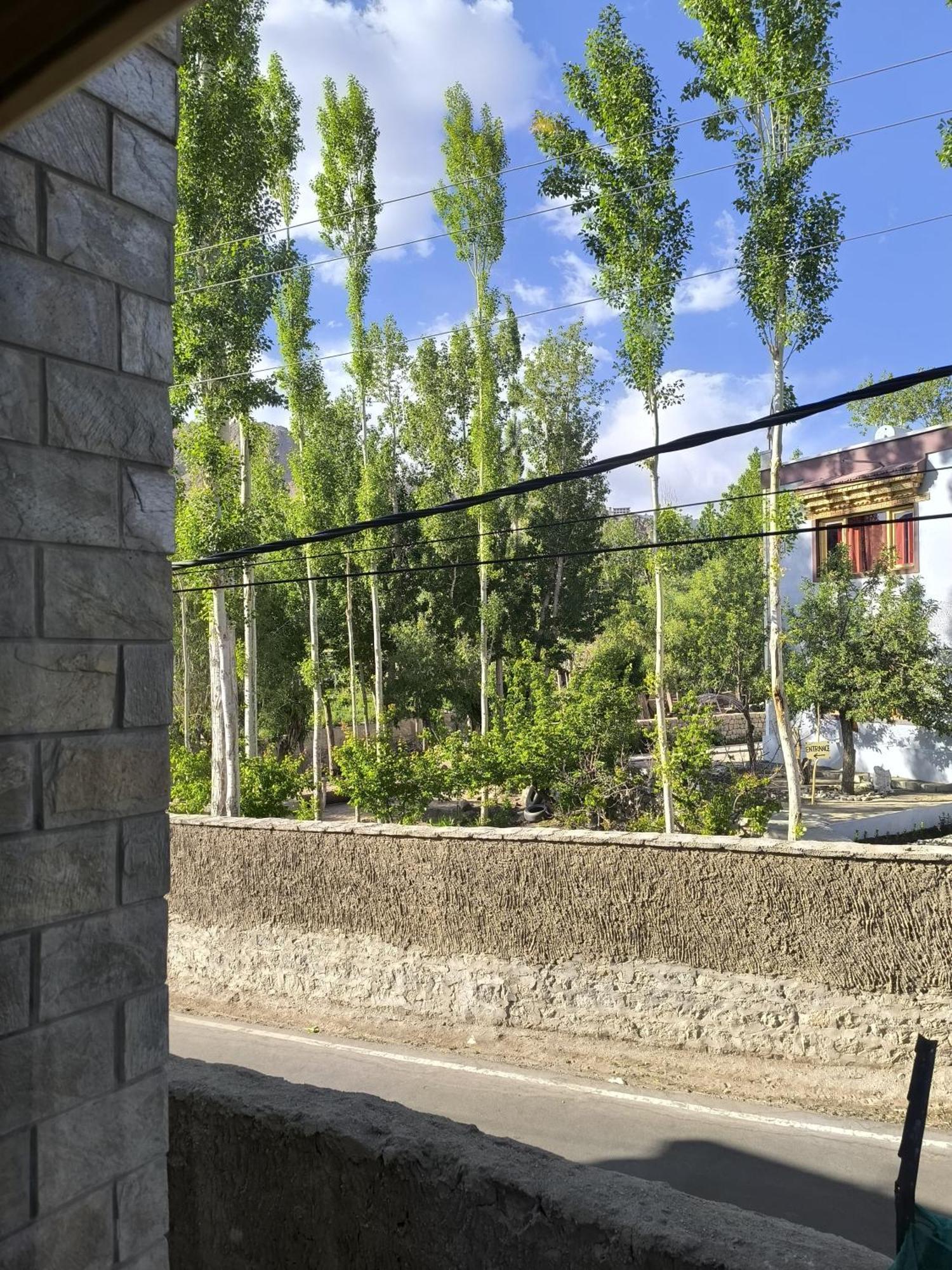 Hidden Leaf Homestay Leh Rom bilde